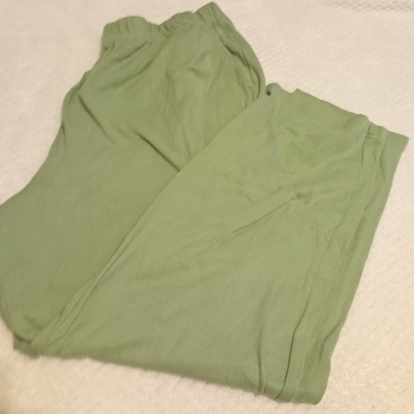 Woman Within Light Green Track Pants - Picture 2 of 2